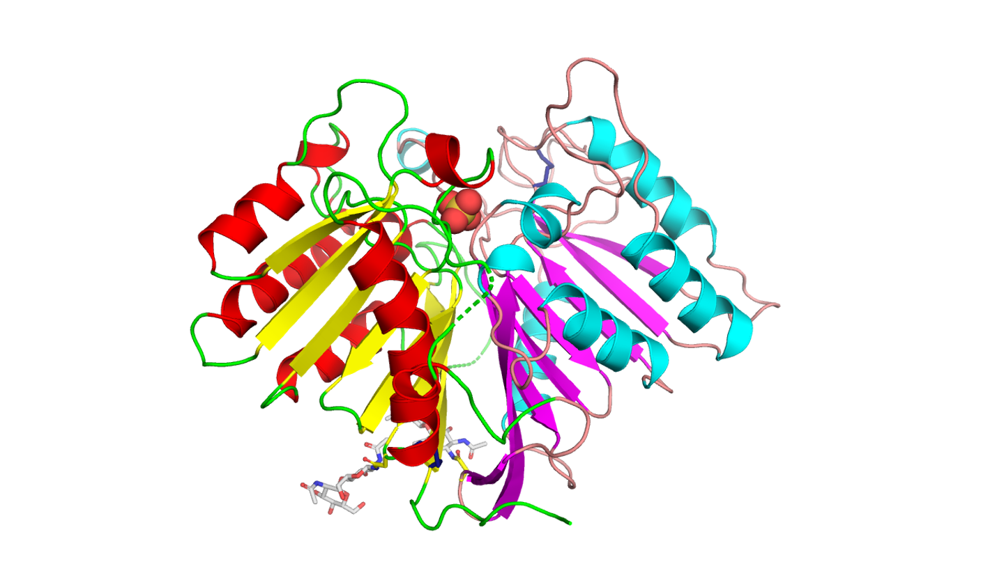 Hidden 3-D atomic structure revealed – drugs for Alzheimer’s a step closer